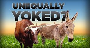 2016-07-08-05-23-59-1974575507