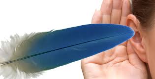 2016-05-13-06-52-28--244524948