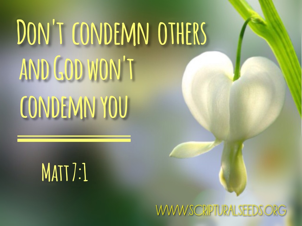 February 11th 2019 – Don’t Comdemn Others | Scriptural Seeds