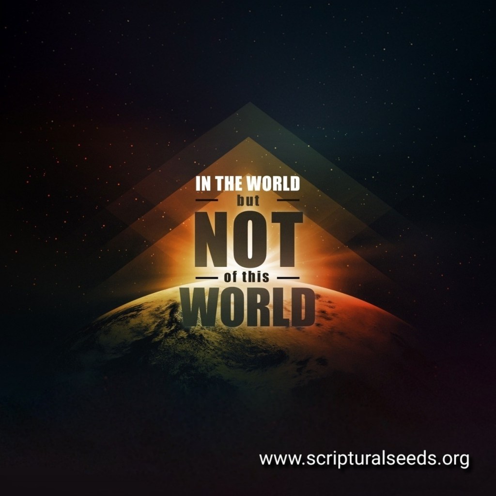 Scriptural Thinkpad March 24th 2025 – In the World but not of this World | Scriptural Seeds